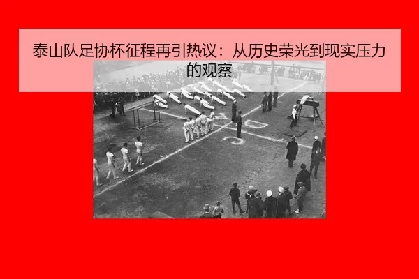 tai-shan-dui-zu-xie-bei-zheng-cheng-zai-yin-re-yi-cong-li-shi-rong-guang-dao-xian-shi-ya-li-de-guan-cha-2-162.jpg